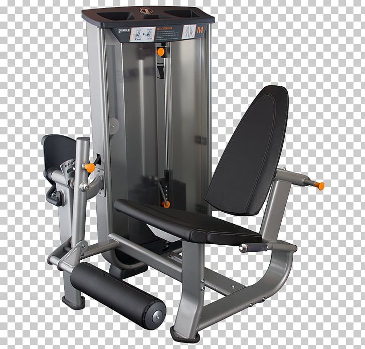 Leg Extension Leg Press Leg Curl Latissimus Dorsi Muscle Calf Raises