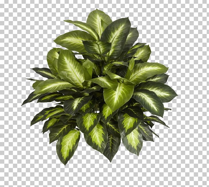 Plant Silk Artificial Flower Areca Palm PNG, Clipart, Areca Palm, Artificial Flower, Devils Ivy, Dracaena, Dumb Canes Free PNG Download