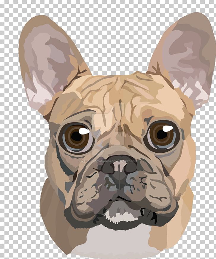 French Bulldog Toy Bulldog Boston Terrier Pug PNG, Clipart, Animal, Animals, Boston Terrier, Bulldog, Canidae Free PNG Download