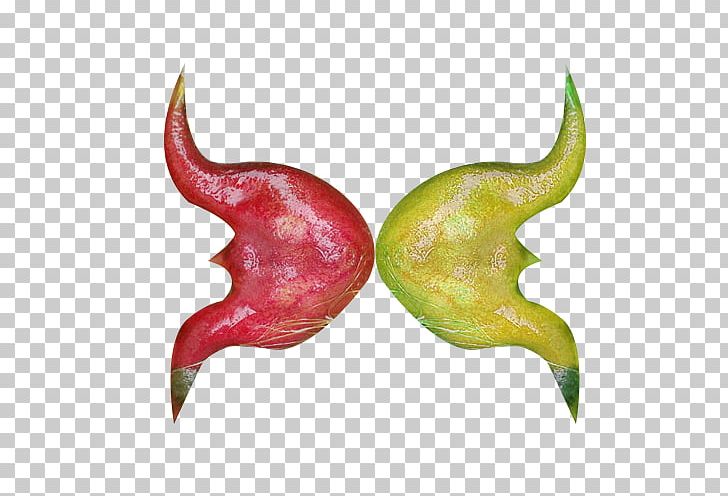 Water Caltrop Chili Pepper Red PNG, Clipart, Capsicum, Cayenne Pepper, Chestnut, Chi, Color Free PNG Download