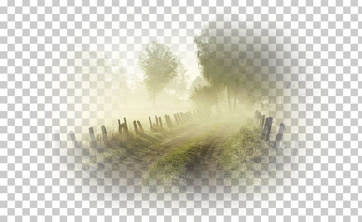 Desktop English Road Farm Wonderland PNG, Clipart, 169, 1080p, Aspect Ratio, Closeup, Computer Wallpaper Free PNG Download