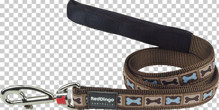 Dog Dingo Leash Cat Food PNG, Clipart,  Free PNG Download