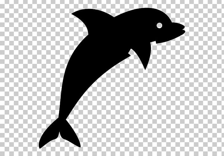Dolphin Drawing PNG, Clipart, Animals, Bird, Black And White, Can Stock Photo, Common Bottlenose Dolphin Free PNG Download