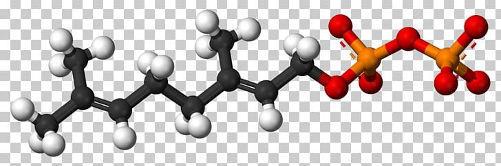 Geraniol Monoterpene Molecule Editor Rose Oil PNG, Clipart, 3 D, Acetic Acid, Ball, Ballandstick Model, Chemical Free PNG Download