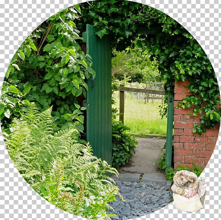 Backyard Landscape Leaf Lawn Tree PNG, Clipart, Backyard, Beatrix Potter, Character, Courtyard, Garden Free PNG Download