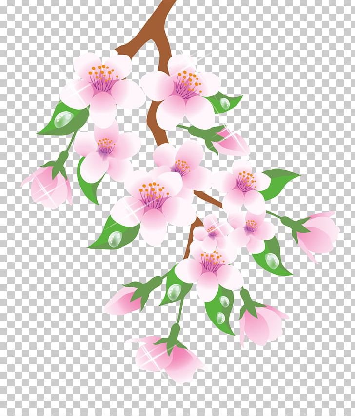 Branch Flower PNG, Clipart, Blossom, Branch, Cherry Blossom, Flower, Flowering Branch Cliparts Free PNG Download
