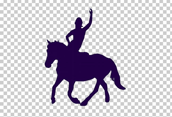 Circus Bêtes De Cirque Equestrian Mustang English Riding PNG, Clipart, Bridle, Cavalier, Circus, Colt, English Riding Free PNG Download