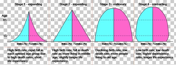 Population Pyramid Demographic Transition Population Growth Birth Rate PNG, Clipart, Age, Area, Birth Rate, Brand, Demographic Transition Free PNG Download