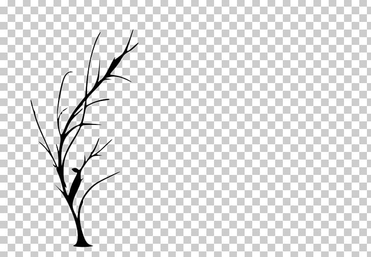 Tree Silhouette Drawing PNG, Clipart, Angle, Black, Black And White, Cedar, Computer Wallpaper Free PNG Download