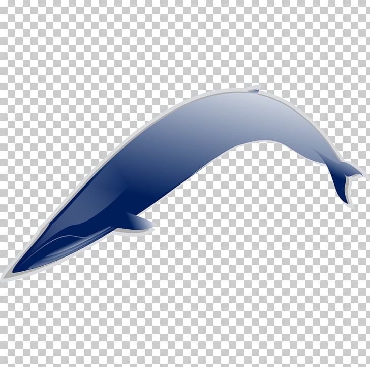 Angle Marine Mammal Mammal PNG, Clipart, Angle, Art, Blue Whale, Dolphin, Download Free PNG Download