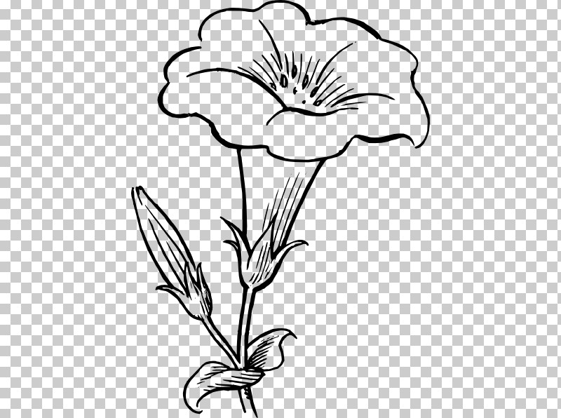 Flower Plant Black-and-white Petal Pedicel PNG, Clipart, Blackandwhite, Flower, Line Art, Pedicel, Petal Free PNG Download