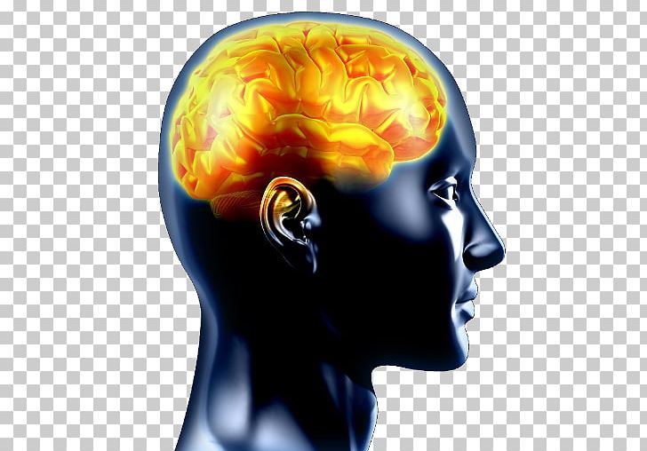Brain Neuroscience Psychology Cognition Emotion PNG, Clipart, Affect, Brain, Brain Puzzle, Cognition, Emotion Free PNG Download