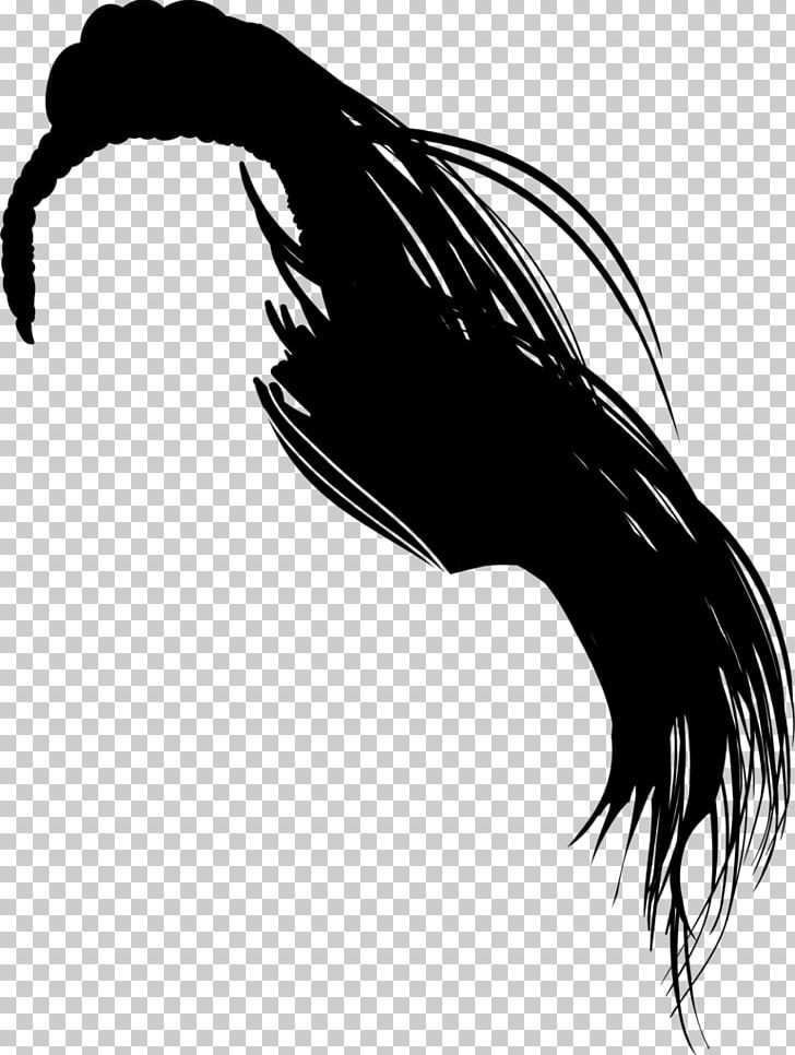 Hair Afro PNG, Clipart, Afro, Afrotextured Hair, Beak, Bird, Black Free PNG Download