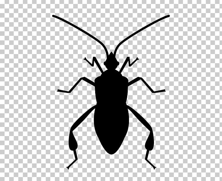 Insect Software Bug PNG, Clipart, Animals, Arthropod, Beetle, Black And White, Computer Icons Free PNG Download