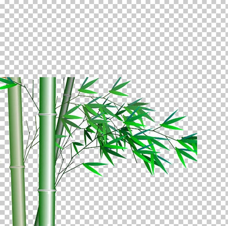 Bamboo Icon PNG, Clipart, Angle, Bamboo, Bamboo Border, Bamboo Frame, Bamboo Leaf Free PNG Download