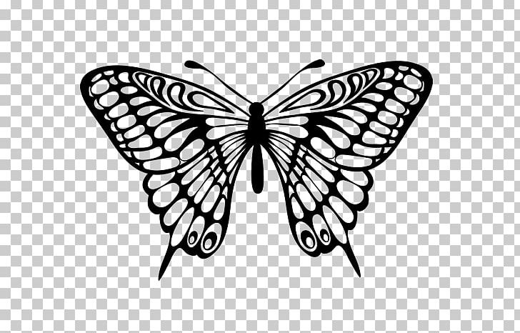 Butterfly Drawing PNG, Clipart, Black And White, Black And White Drawings, Brush Footed Butterfly, Butterfly, Drawing Free PNG Download
