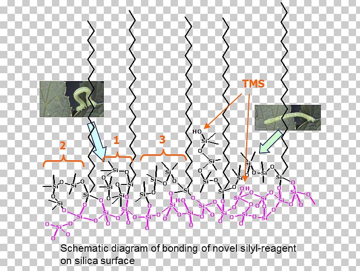 Endcapping Silanol High-performance Liquid Chromatography Trimethylsilyl PNG, Clipart, Angle, Area, Chromatography, Diagram, Endcapping Free PNG Download