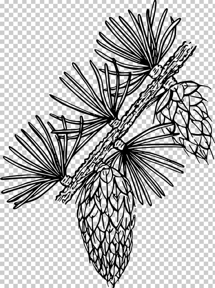 Line Art PNG, Clipart, Art, Artwork, Black And White, Branch, Drawing Free PNG Download