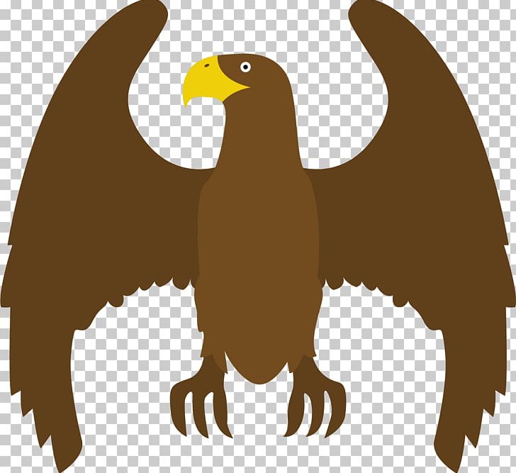 Eagle Atlxe9tico Clube Juventus Hawk PNG, Clipart, 3d Computer Graphics, Agricultural Land, Animals, Atlxe9tico Clube Juventus, Beak Free PNG Download