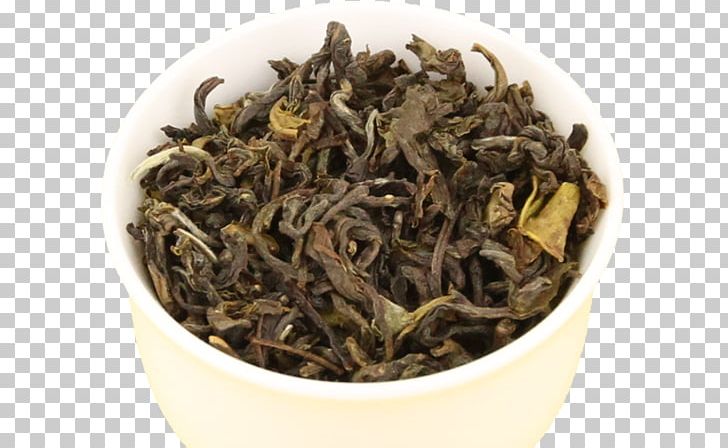 Hōjicha White Tea Nilgiri Tea Oolong PNG, Clipart,  Free PNG Download