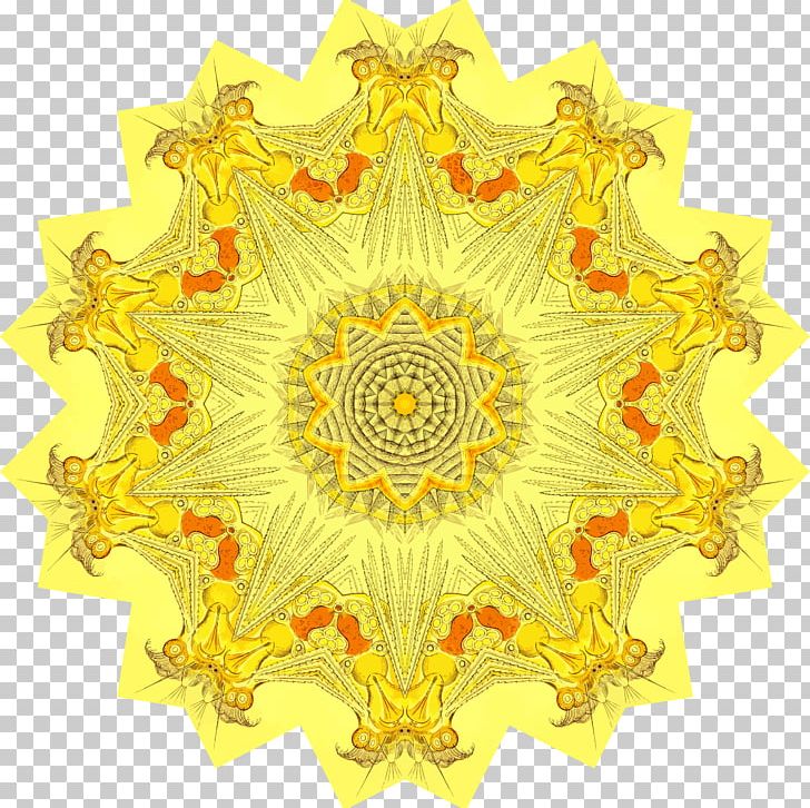 Pattern Symmetry Flower PNG, Clipart, Flower, Nature, Symmetry, Yellow Free PNG Download