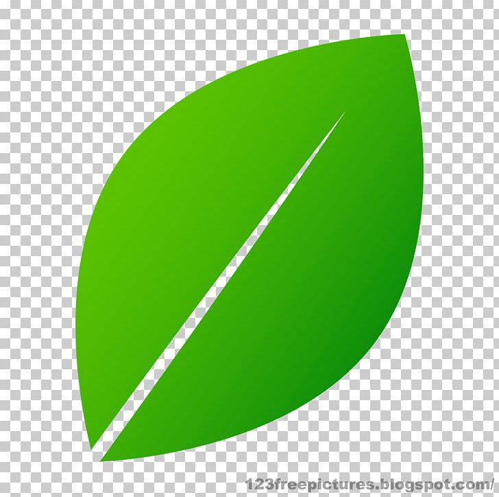 Circle Angle Plant PNG, Clipart, Angle, Circle, Grass, Green, Green Leaves Free PNG Download