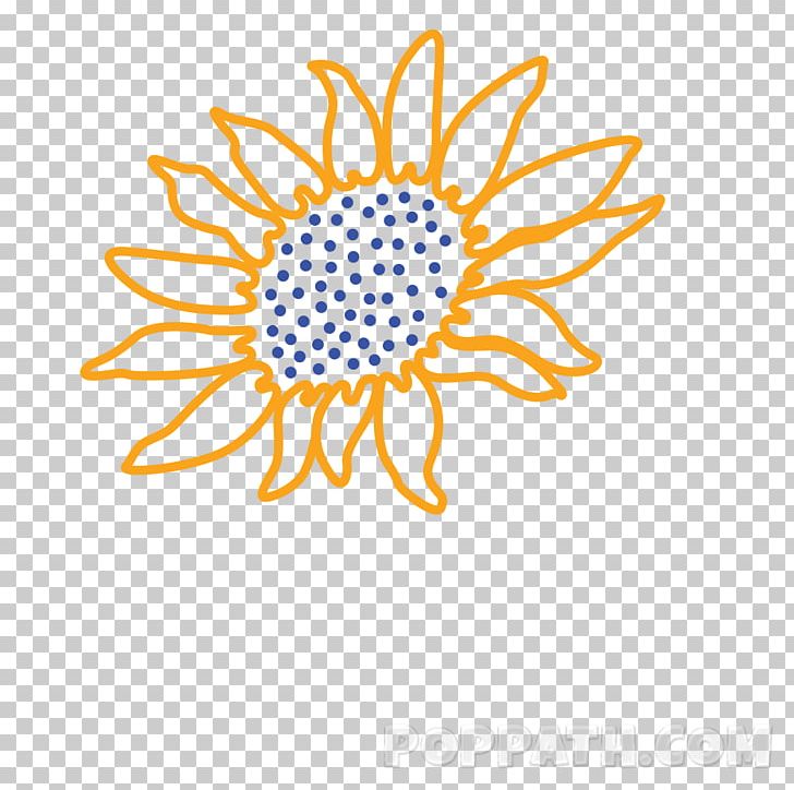 Common Sunflower Drawing Coloring Book PNG, Clipart, Art, Artwork, Brown, Circle, Color Free PNG Download
