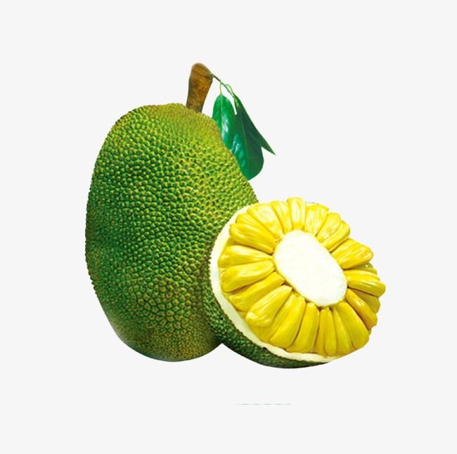 jackfruit clipart