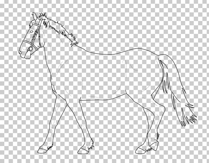 Line Art Tennessee Walking Horse Drawing Pony PNG, Clipart, Animal Figure, Art, Artwork, Black And White, Bridle Free PNG Download