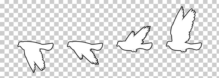 Bird Flight Columbidae PNG, Clipart, Angel Wing, Angle, Animals, Arm, Art Free PNG Download