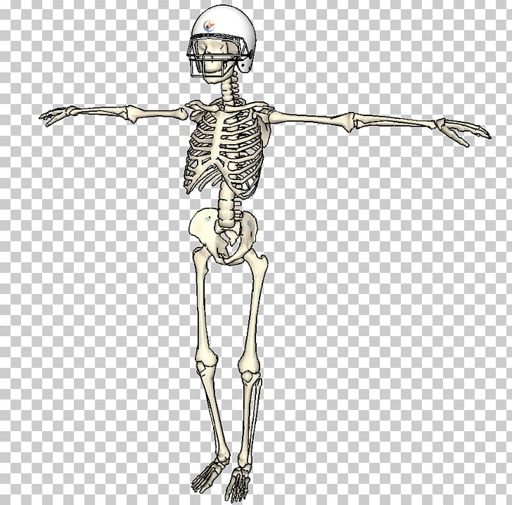 Homo Sapiens Shoulder Skeleton Figurine PNG, Clipart, Arm, Bone, Costume Design, Fantasy, Figurine Free PNG Download