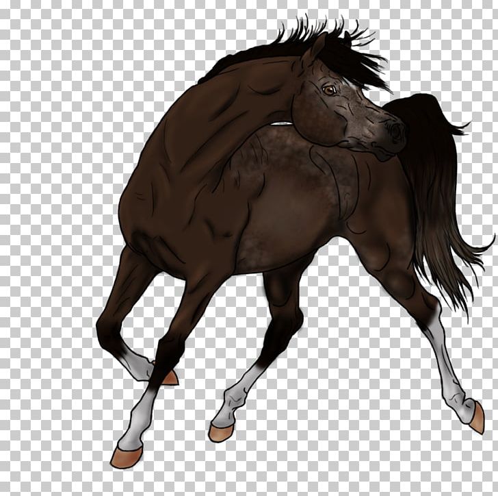 Mustang Stallion Foal Colt Mare PNG, Clipart, Bridle, Character, Colt, Fiction, Fictional Character Free PNG Download
