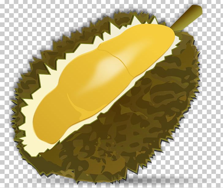Thai Cuisine Durian Tropical Fruit Png Clipart Clip Art