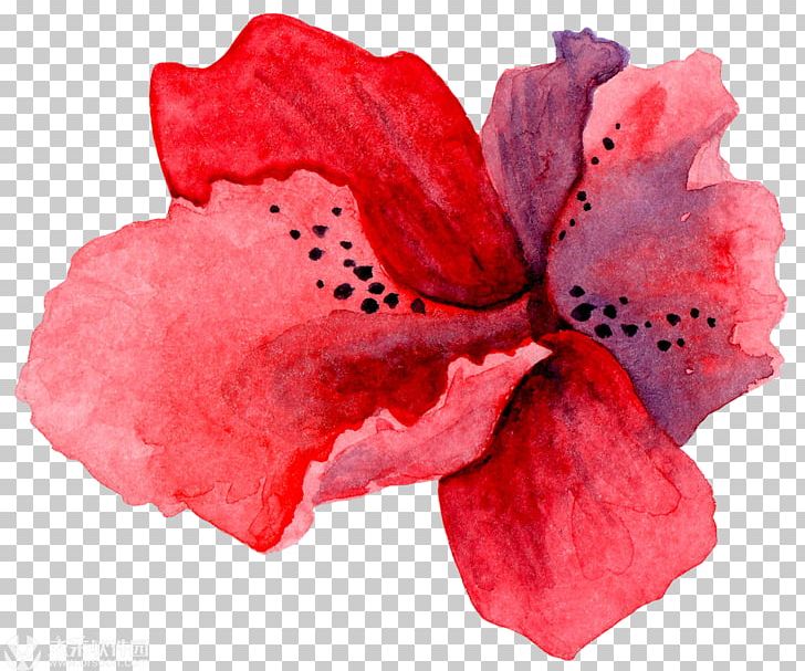 Watercolor Painting PNG, Clipart, Art, Azalea, Can Stock Photo, Clip, Flower Free PNG Download