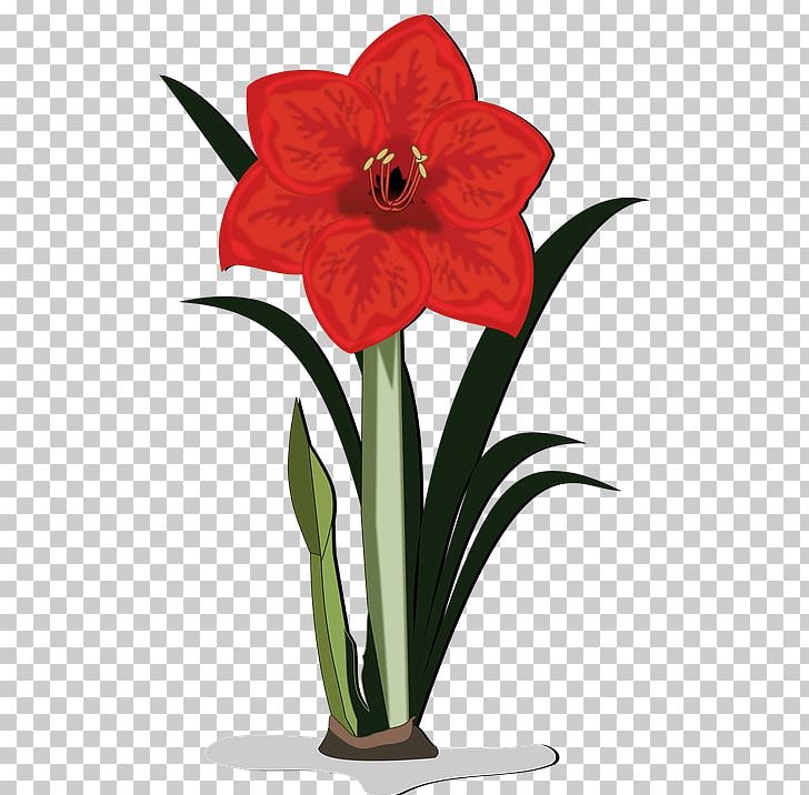 Flower Plant Amaryllis Belladonna PNG, Clipart, Amaryllis, Amaryllis Belladonna, Amaryllis Family, Blossom, Clip Art Free PNG Download