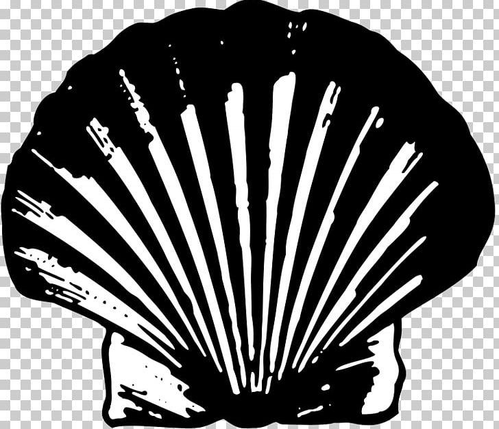 Royal Dutch Shell Logo PNG, Clipart, Art, Black And White, Business, Corporation, Decorative Fan Free PNG Download