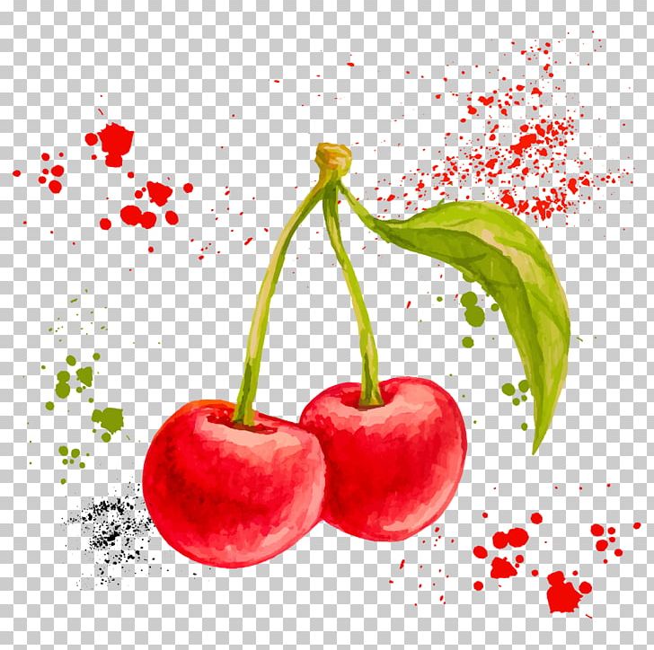 Watercolor Painting Drawing Fruit Illustration PNG, Clipart, Cartoon Fruit, Cherry, Chili Pepper, Drawing Fruit, Food Free PNG Download