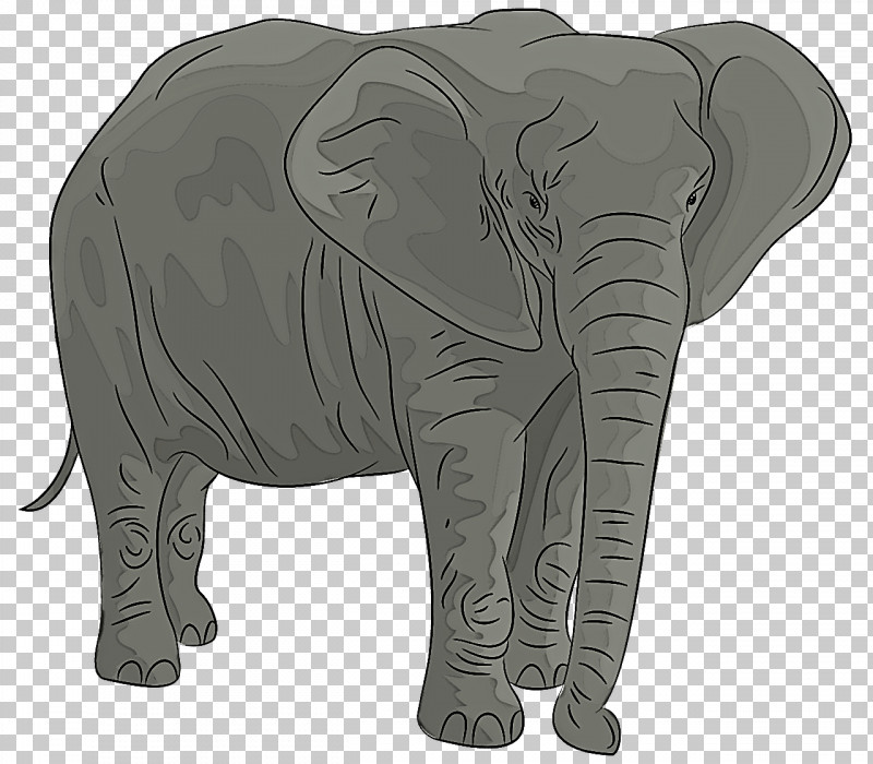 Indian Elephant PNG, Clipart, African Elephants, Biology, Elephant, Elephants, Indian Elephant Free PNG Download