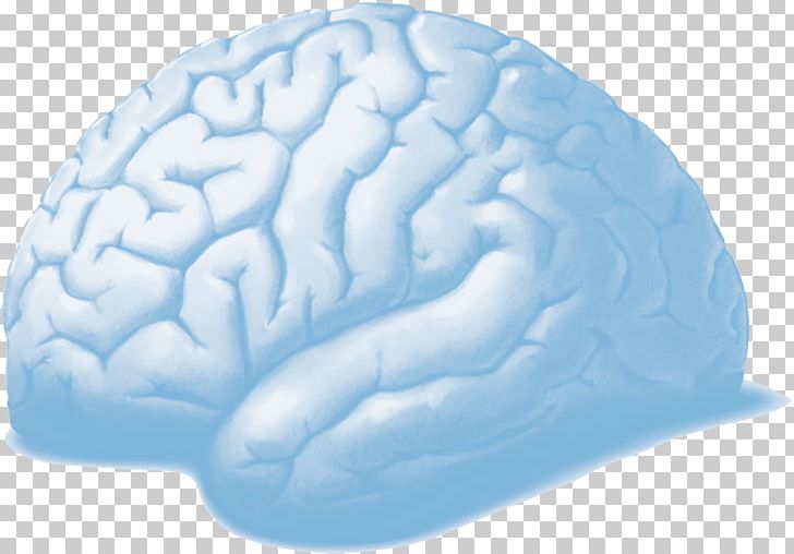 Brain Organism PNG, Clipart, Brain, Microsoft Azure, Neurology, Organ, Organism Free PNG Download