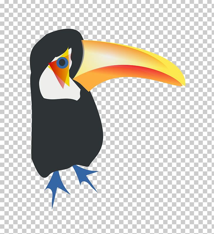 Toco Toucan Bird PNG, Clipart, Animals, Beak, Bird, Bird Of Prey, Copyright Free PNG Download