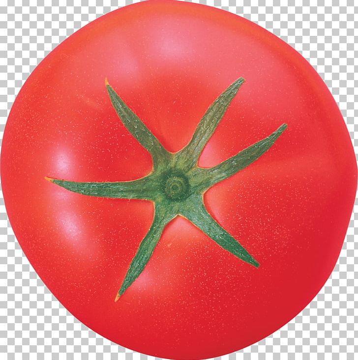 Tomato PhotoScape Vegetable PNG, Clipart, Athletes, Download, Eat, Encapsulated Postscript, Fitchicks Free PNG Download