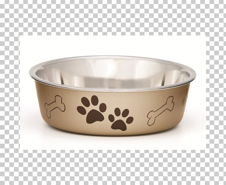 Dog Bowl Pet Shop Cat PNG, Clipart, Animals, Bella, Bowl, Cat, Champagne Free PNG Download
