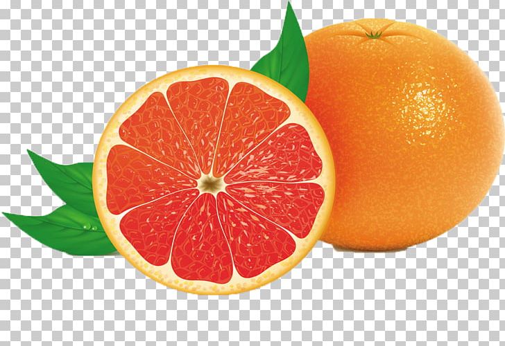 Juice Grapefruit PNG, Clipart, Bitter Orange, Citrus, Food, Fresh Salmon, Fruit Free PNG Download