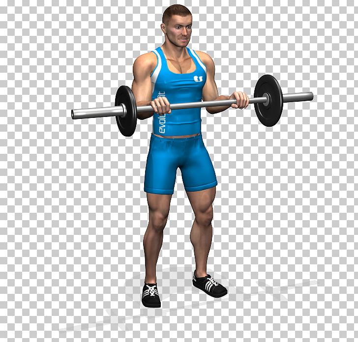 Biceps Curl Barbell Bench Forearm PNG, Clipart, Abdomen, Arm, Bodybuilder, Exercise, Fitness Professional Free PNG Download