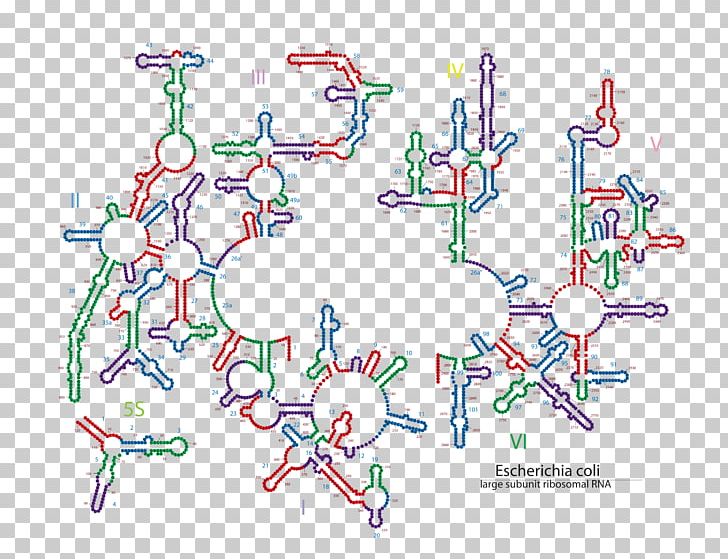 Diagram Line Tree Technology PNG, Clipart, Area, Art, Coli, Diagram, Line Free PNG Download