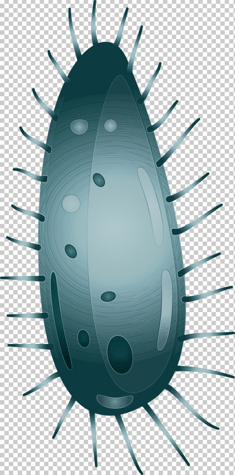 Insect Cockroach Pest Metal PNG, Clipart, Cockroach, Insect, Metal, Paint, Pest Free PNG Download