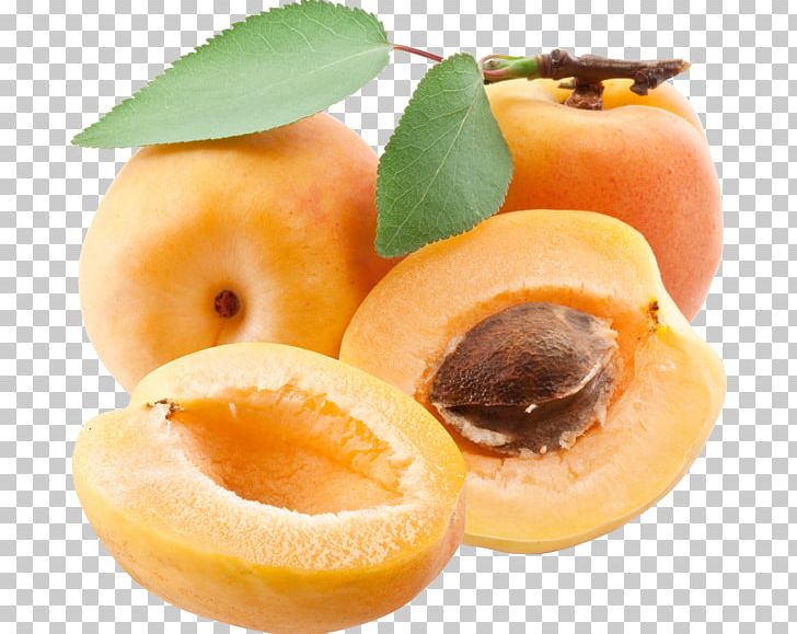 Apricot PNG, Clipart, Apricot Free PNG Download
