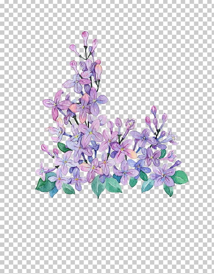 Lilac Violet PNG, Clipart, Blue, Branch, Color, Eight Principles, Floral Design Free PNG Download