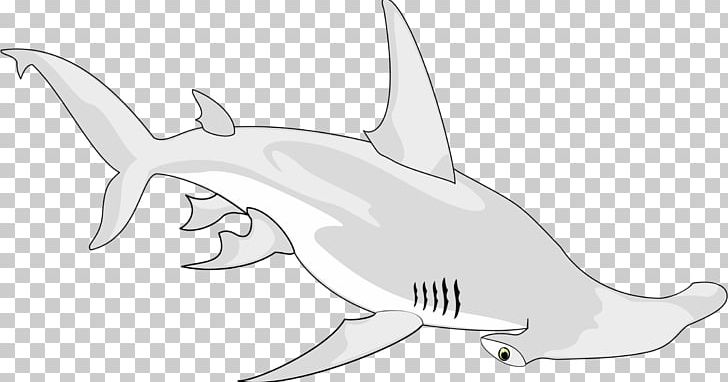 Shark Vertebrate Chondrichthyes Drawing Animal PNG, Clipart, Animal, Animal Figure, Animals, Artwork, Black And White Free PNG Download