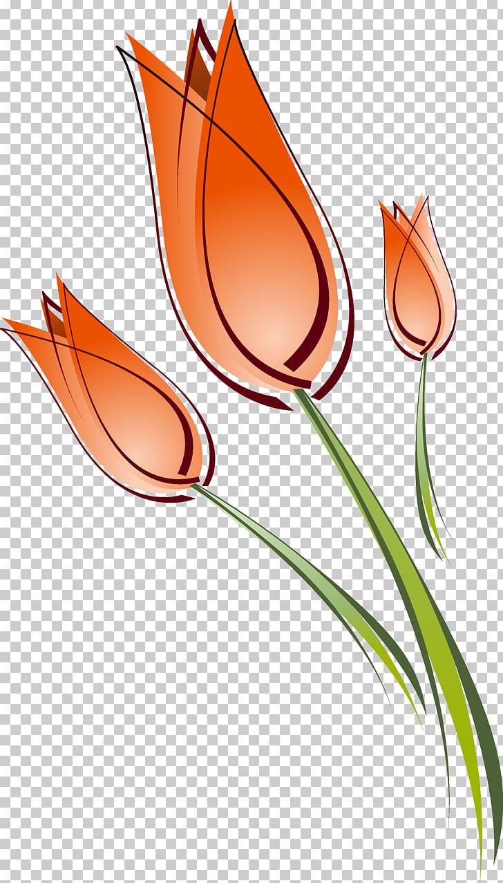 Tulip Drawing PNG, Clipart, Clip Art, Coreldraw, Download, Drawing, Encapsulated Postscript Free PNG Download